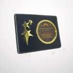 FP 10668